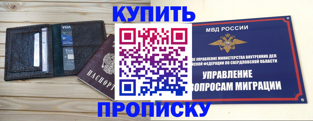 прописка поиск в Алейске